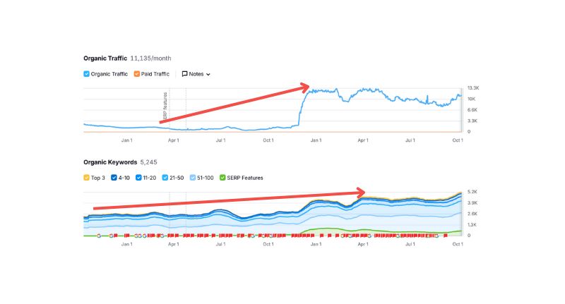 How Plumtree SEO Skyrocketed Online Traffic and Visibility 8 traffic and keyword increase born